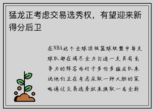 猛龙正考虑交易选秀权，有望迎来新得分后卫