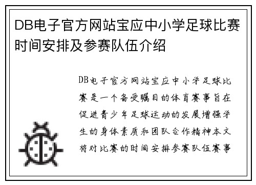 DB电子官方网站宝应中小学足球比赛时间安排及参赛队伍介绍